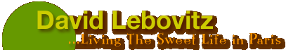 David Lebovitz